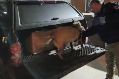 Samsun’da uyuşturucu operasyonunda 165 bin hap ele geçirildi