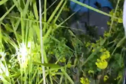 Şanlıurfa’da kayalıklarda mahsur kalan 2 küçük kardeş kurtarıldı