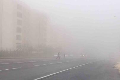 Şanlıurfa’da sis nedeniyle görüş mesafesi düştü