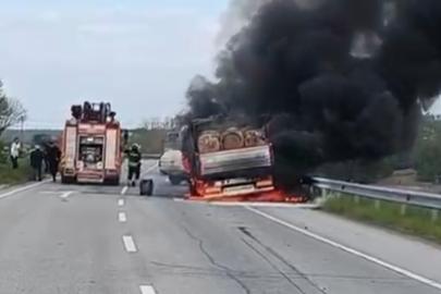 Seyir halindeki tomruk yüklü kamyon alevlere teslim oldu
