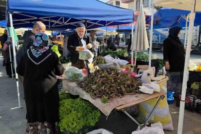 Şifa dağıtan kaldirik otu tezgahlardaki yerini aldı