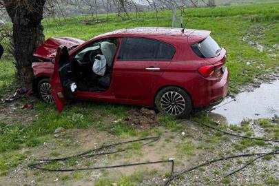 Siirt’te ağaca çarpan otomobilin sürücüsü yaralandı