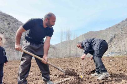 Şırnaklı çiftçi devlet desteğiyle bütün arazisine meyve fidanı dikti