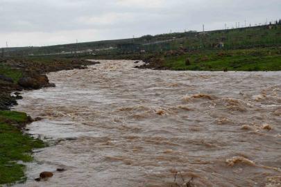 Siverek’te sağanak sonrası derede mahsur kalan çoban ve koyun sürüsü kurtarıldı