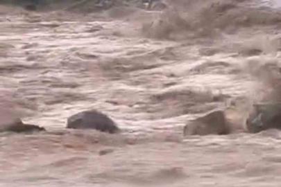 Siverek’te sağanak yağış sele neden oldu