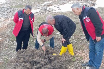 Süne mücadelesi için ilkbahar kışlak sürveyleri yapıldı