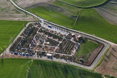 Sunurlu’nun minik meclis üyeleri fidan dikti