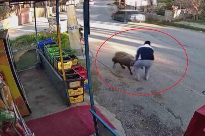 Sürünün geçişi esnasında 3 metrelik kuyuya düşen koyunu esnaf kurtardı: O anlar kamerada