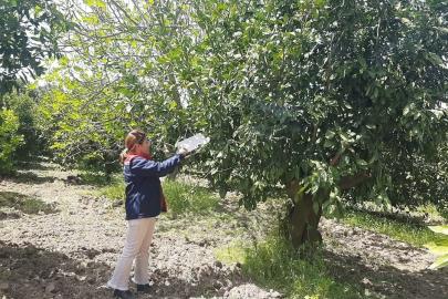 Tarım arazilerinde hastalık ve zararlı mesaisi
