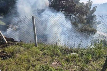 Tarlasındaki otları temizlerken ormanlık alanı yaktı