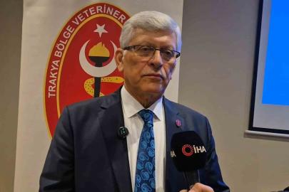 Tekirdağ’dan kritik çağrı: "Belediyelerde veteriner hekim açığı giderilmeli"