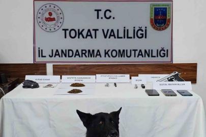 Tokat’ta jandarmadan zehir tacirlerine operasyon: 5 gözaltı