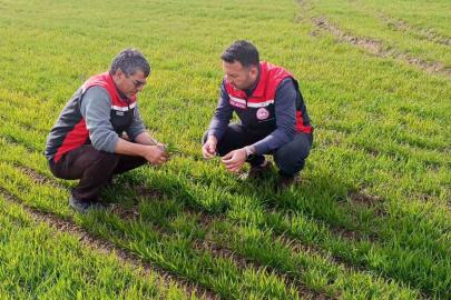 Tomarza’da zirai don uyarısı sonrası saha kontrolleri devam ediyor