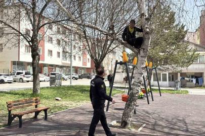 Topu almak için çıktığı ağaçtan inemeyen çocuk itfaiyeden yardım istedi