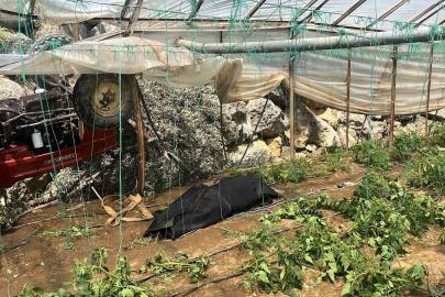 Traktör yol kenarındaki seraya devrildi: 1 ölü