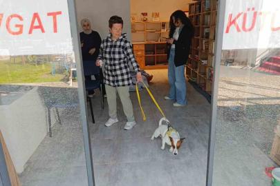 Ukraynalı kadın hayatının şokunu yaşadı, kurt köpeğiyle dalaşan kucağındaki köpeği parmağını parçaladı