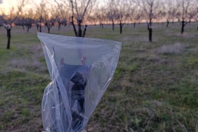 Uşak’ta badem üreticilerine don uyarısı