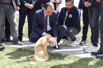 Vali Taşolar, Iğdır Geçici Hayvan Bakımevi’ni ziyaret etti
