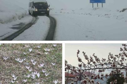 Van’da iki mevsim bir arada: Bir yanda bahar, diğer yanda kış