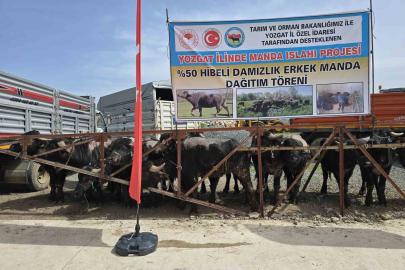 Yozgat’ta 20 manda üreticilere teslim edildi