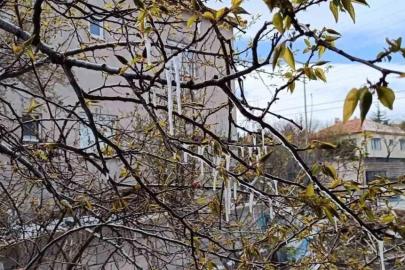 Yozgat’ta çiftçiler zirai don tehlikesine karşı uyarıldı