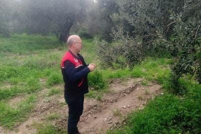 Zararlılara karşı tuzaklar kuruldu