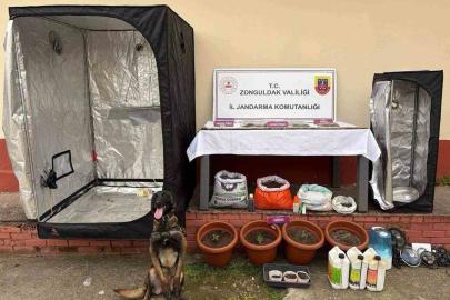 Zonguldak’ta jandarmanın uyuşturucu operasyonunda 2 şüpheli tutuklandı