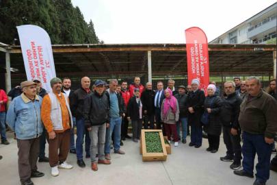 500 bin ata tohumundan üretilen fideler toprakla buluşuyor