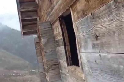Anahtarın yerini tarif etti, evine giren ayıya "Zarar verme" diye seslendi