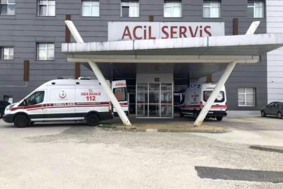 Arı saldırısına uğrayan yaşlı çift hastanelik oldu