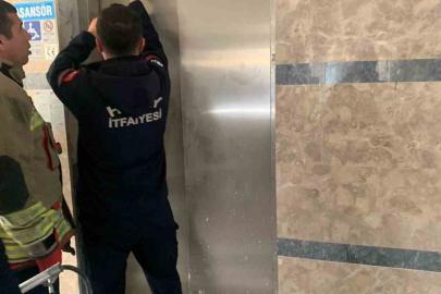 Asansör boşluğuna düşen yavru kediyi itfaiye kurtardı