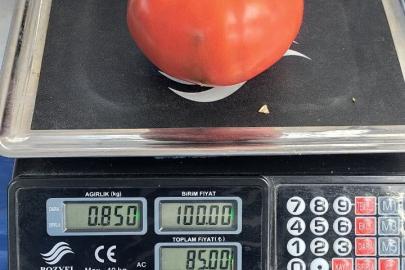 Aydın’da 850 gramlık domates pazarda ilgi gördü