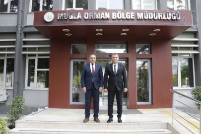 Aydın’da kestane ağaçları biyolojik mücadele ile korunuyor