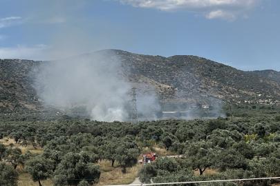 Bayındır’da zeytinlik alanda yangın