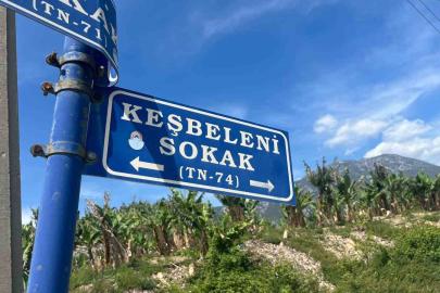 Belediye çalışanlarından örnek davranış: Çöp konteynerinde ölüme terk edilen kaplumbağayı kurtardılar