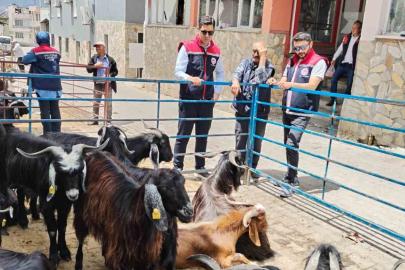 Bozdoğan’da kurban satış yerleri denetlendi