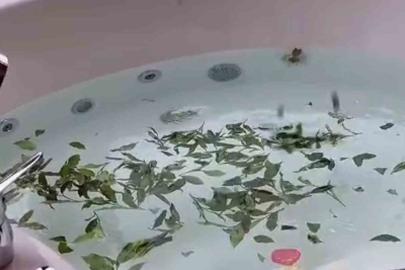Bu da Rizelilerin jakuzisi ‘Çaykuzi’