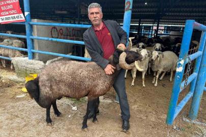 Bursa’daki kurbanlık pazarında hareketlilik