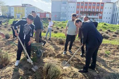 Çavdarhisar’da öğrenciler okulun tarım alanına lavanta fidanı dikti