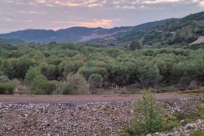 Düzce’de rafting botundan düşen kadının cansız bedeni Sakarya’da bulundu