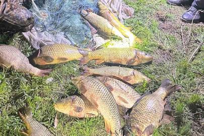 Eğirdir Gölü’nde kaçak avcılara suçüstü: 100 kilo sazan yeniden göle bırakıldı