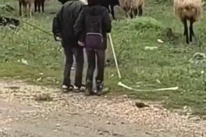 Elazığ’da minik çobanların sürü başında halayı