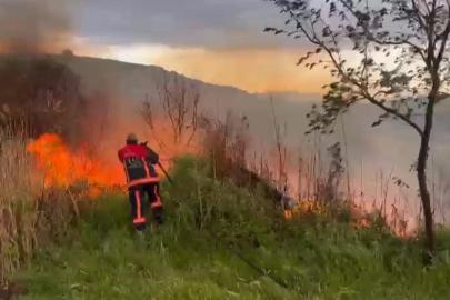 Elazığ’da otluk alanda yangın
