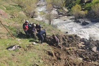 Hakkari’de bataklığa saplanan inek kurtarıldı
