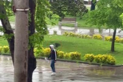Haylaz karga sahilde yürüyenlere "musallat" oldu