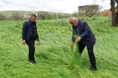 Hububatı ‘süper hücre’ vurdu