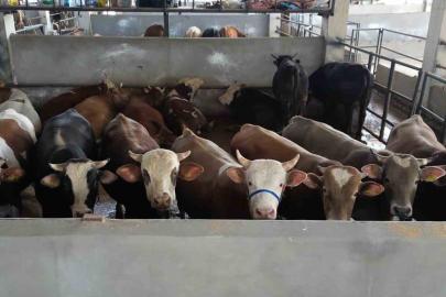İnegöl Belediyesi Modern Hayvan Pazarı, yüzde 100’e ulaştı
