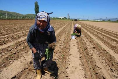 İşçi Bayramı’nın öteki yüzü