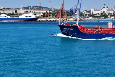 İstanbul Boğazından yunus sürüsüyle Kurban bayramı manzarası