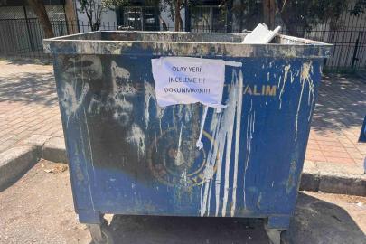 İzmir’de çöpte 33 ölü kedi bulunmasıyla ilgili bir veteriner gözaltına alındı
